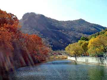 从广州到深圳，双城之旅的多样选择